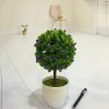 Mini simulation bonsai flower small potted plants